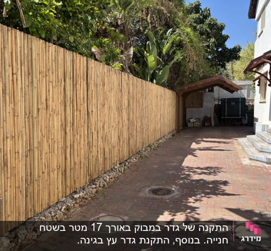 גדר במבוק לצד שביל מרוצף עם צמחייה מסביב